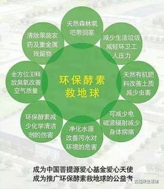 酵素制作方法 视频讲解
