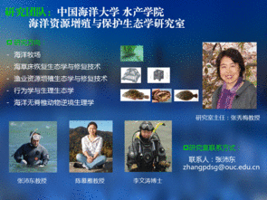 水生生物资源养护先进技术系列连载 五 海草移植栽培技术