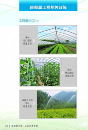 喷微灌技术推广应用宣传册 图片格式 宁波市水利局