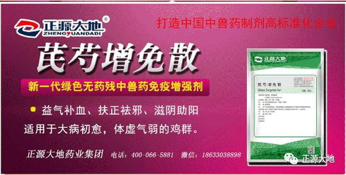 产蛋率下降,下降,下降,怎么办